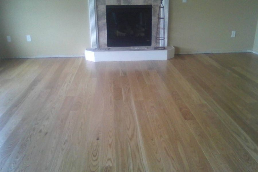 Five Inch Red Oak