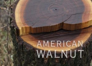 Adirondack Walnut